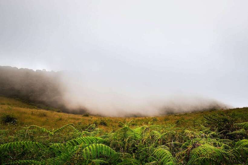 Doi Inthanon National Park & Hiking Kew Mae Pan Nature Trail - Frequently Asked Questions