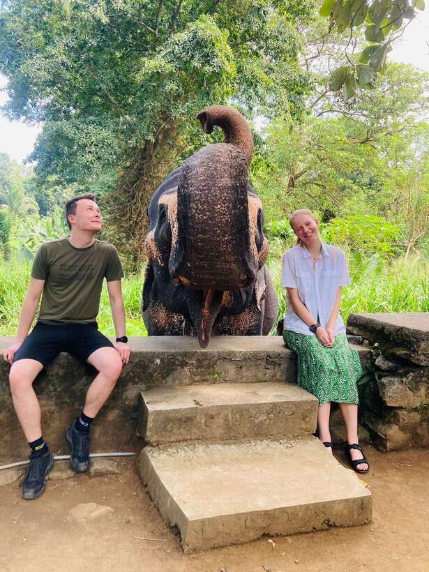 From Kandy : Pinnawala Elephant Orphanage & Ambuluwawa Tower - Cultural and Heritage Highlights in Kandy