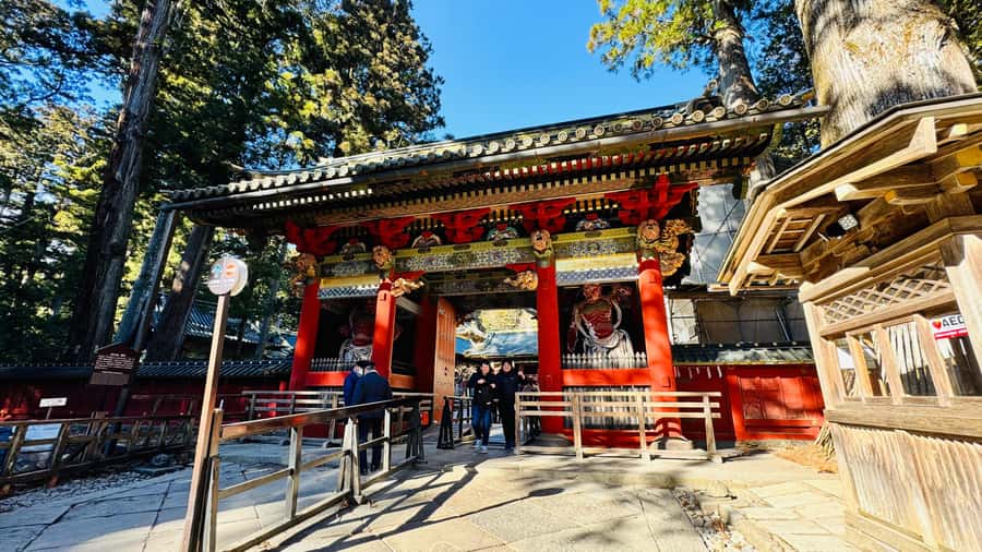 Nikko Heritage & Private Sightseeing Trip From Tokyo - The Journey from Tokyo to Nikko