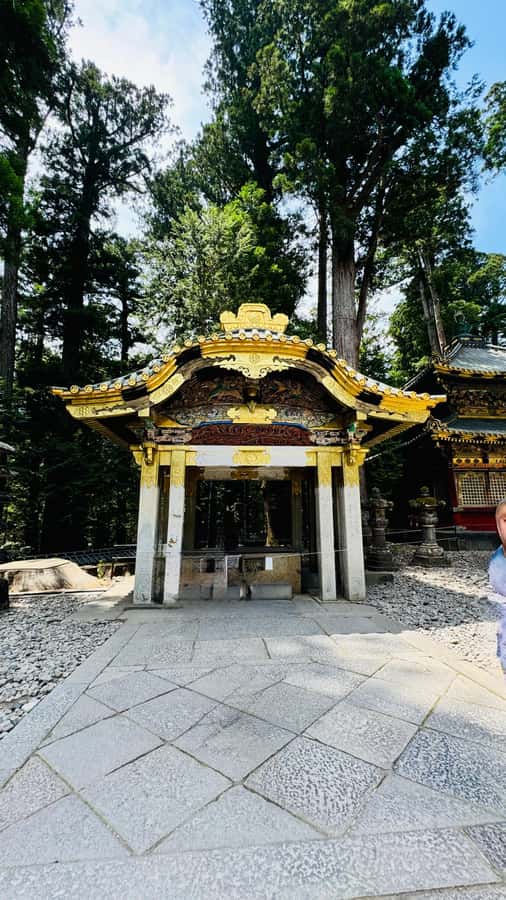Nikko Heritage & Private Sightseeing Trip From Tokyo - Return Trip and Flexibility