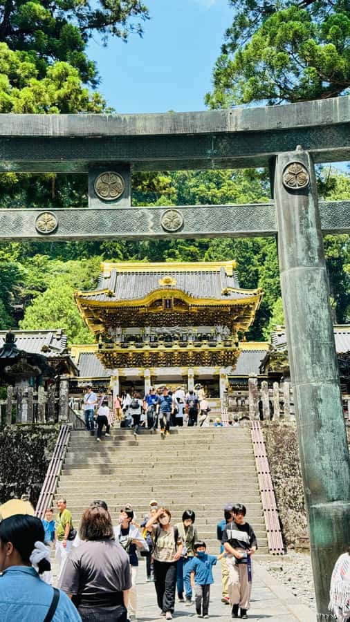 Nikko Heritage & Private Sightseeing Trip From Tokyo - Who Is This Tour Best For?