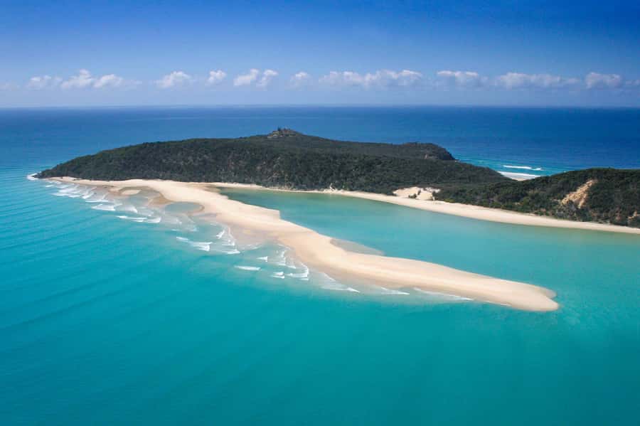 Noosa: Epic Whale Watching Ocean Kayak Tour & Beach 4X4 - Final Thoughts: Who Will Love This Tour?