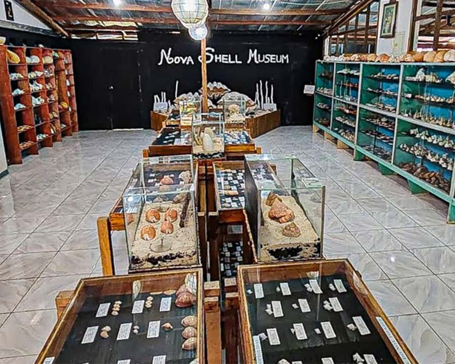 Bohol: PRIVATE Panglao Land Tour - The Detailed Itinerary