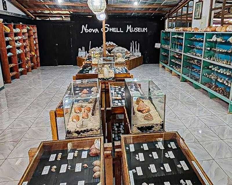 Bohol: PRIVATE Panglao Land Tour - Final Thoughts: Who Will Love This Tour?