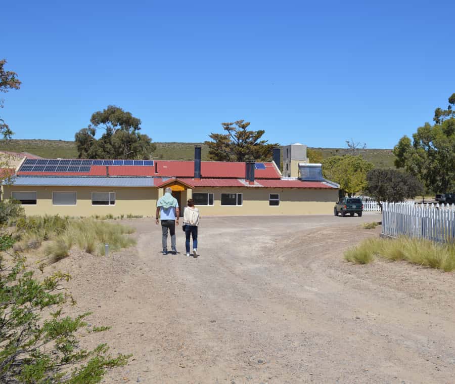 Punta Loma + Ranch Shore Excursion for cruise passengers - A Closer Look at the Experience
