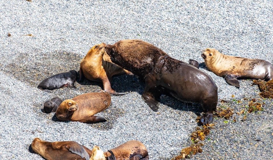 Punta Loma + Ranch Shore Excursion for cruise passengers - Final Thoughts