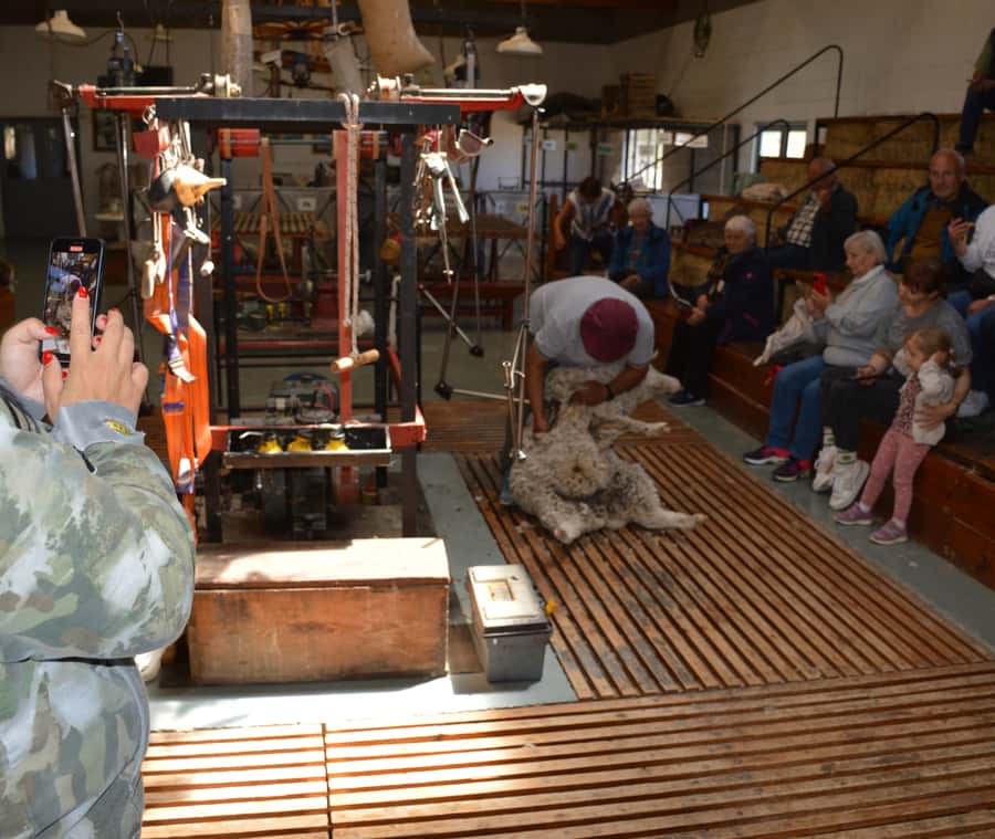 Punta Loma + Ranch Shore Excursion for cruise passengers - Key Points