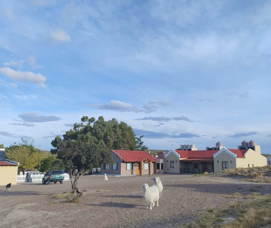 Punta Loma + Ranch Shore Excursion for cruise passengers - Practical Details and Value