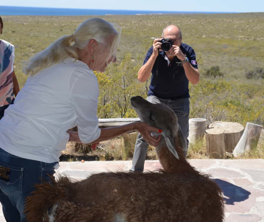 Punta Loma + Ranch Shore Excursion for cruise passengers - Who Will Love This Tour?