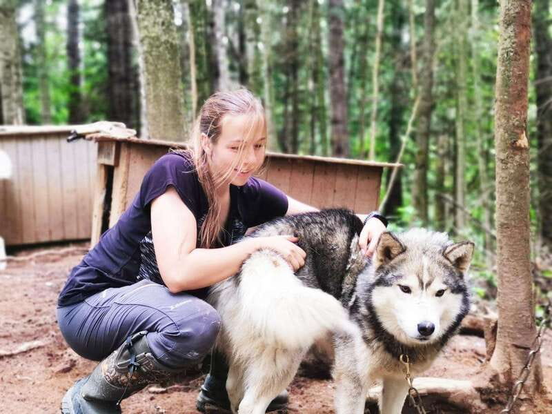 15 min. Tadoussac : Behind-the-Scenes Sled Dog Kennel Tour - The Itinerary: What to Expect
