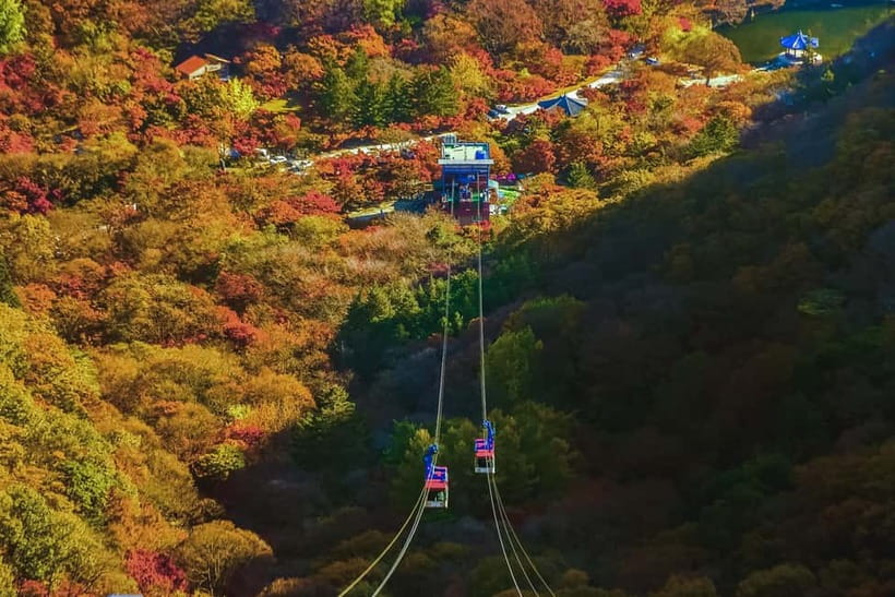 Naejangsan: Highlight of a Korean Autumn Day Trip from Busan - The Itinerary and What to Expect