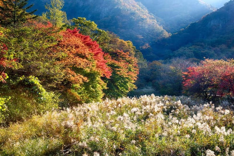 Naejangsan: Highlight of a Korean Autumn Day Trip from Busan - What Makes Naejangsan Worth Visiting?