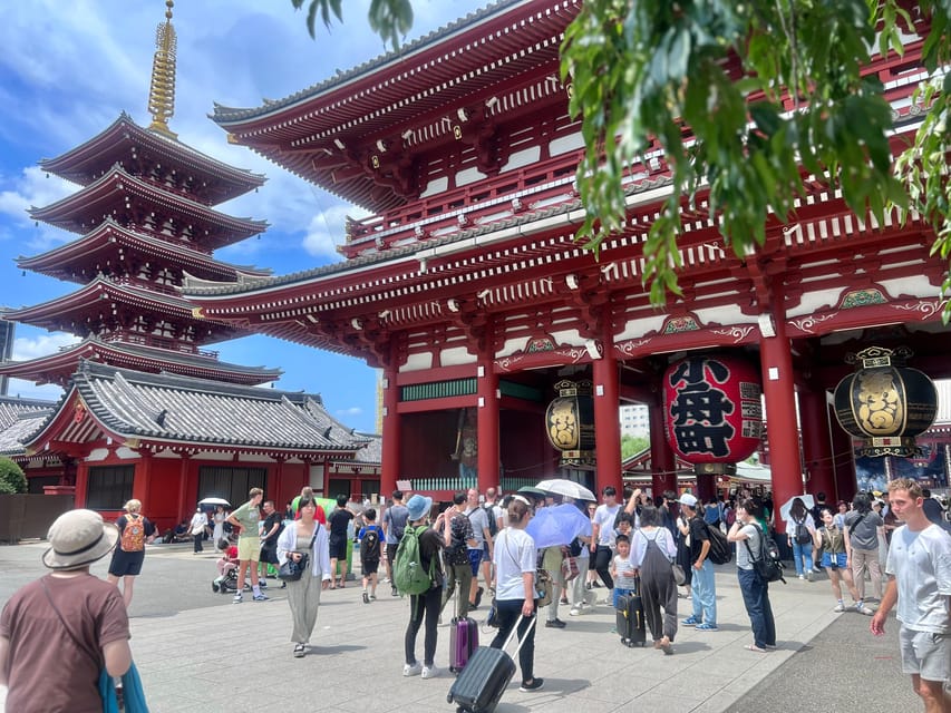 Tokyo: Meiji Jingu Shrine and Shinto Culture Walking Tour - Who Should Book This Tour?