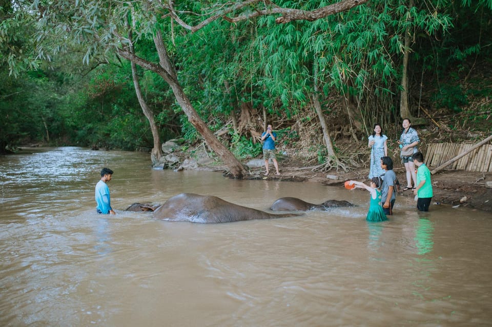 Chiang Mai: Two-day tour at the Temple of Elephants Sanctuary - Practical Tips for Travelers