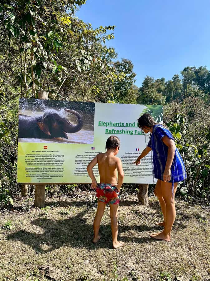 Chiang Mai: Two-day tour at the Temple of Elephants Sanctuary - The Sum Up