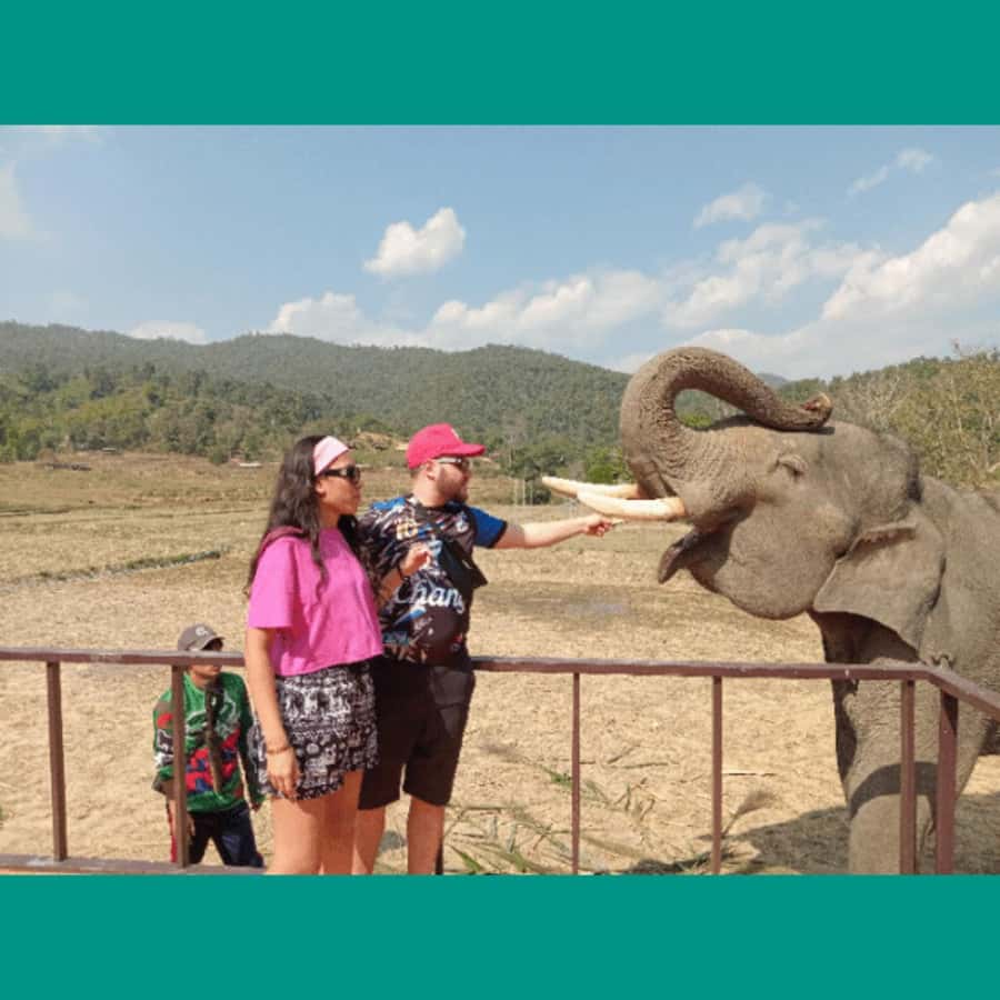 Chiang Mai: Two-day tour at the Temple of Elephants Sanctuary - The Best Fit for This Tour