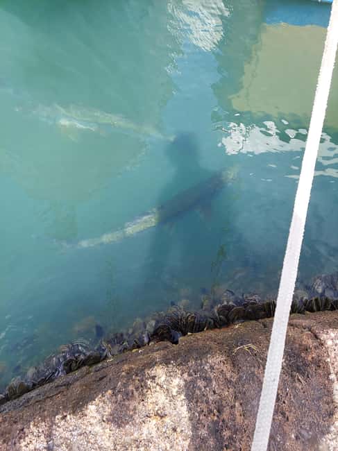 St. John's: Discover The Real Antigua Island Tour Experience - Exploring Antigua: What You Can Expect