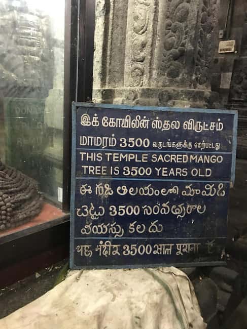 A Private Trip to Kanchipuram & Mahabalipuram from Chennai - Exploring Kanchipuram: Temples and Silk