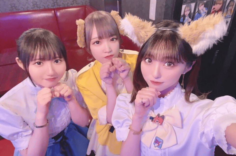 Private Akihabara Anime Game Maid Cafe Tour w/ free pickup - Good To Know