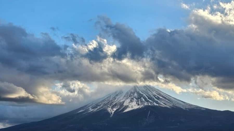 Tokyo: Mount Fuji Day Trip By English Speaking Driver - FAQs