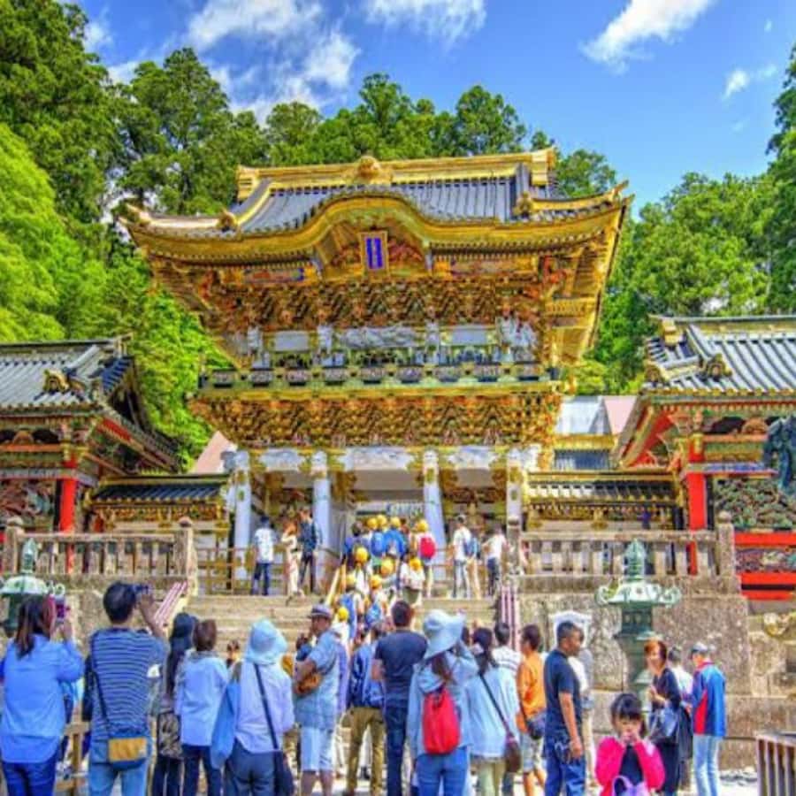 From Tokyo: Private Nikko World Heritage Sights One Day Trip - Who Is This Tour Best For?