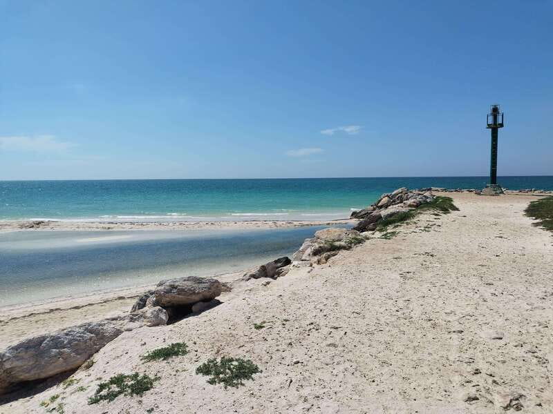 From Merida: Isla Columpios & Progreso - A Closer Look at the Tour Experience