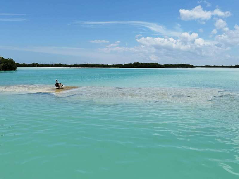 From Merida: Isla Columpios & Progreso - Authentic Insights from Travelers