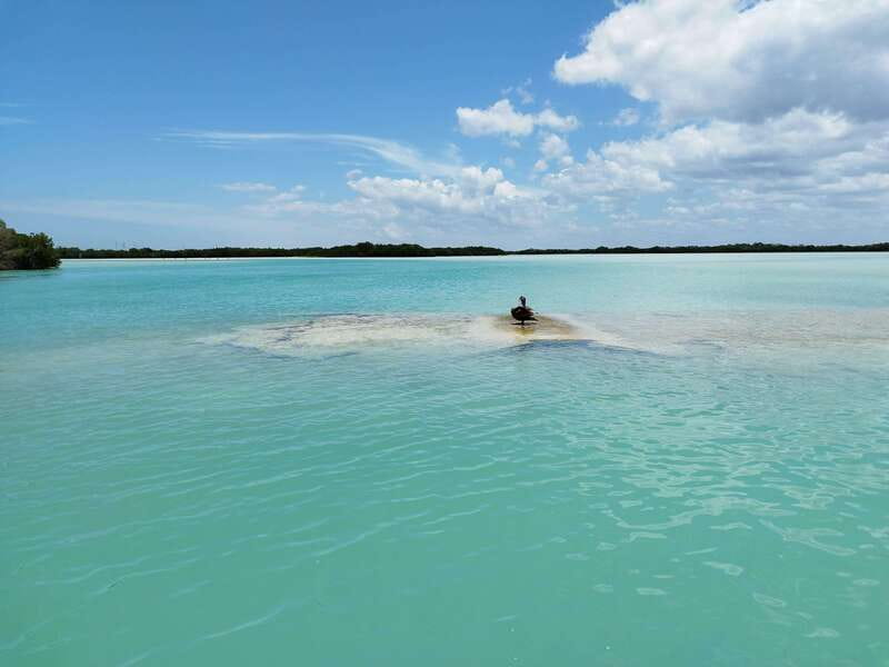 From Merida: Isla Columpios & Progreso - From Mérida: Isla Columpios & Progreso — A Day of Natural Beauty and Coastal Charm