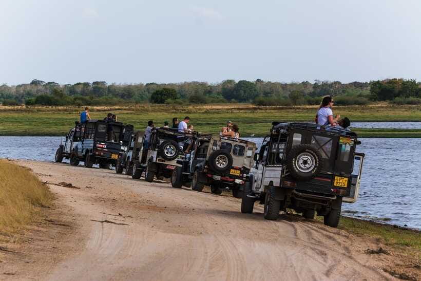 Elephant Jeep Safari at Minneriya National Park - Authentic Encounters & Guide Insights