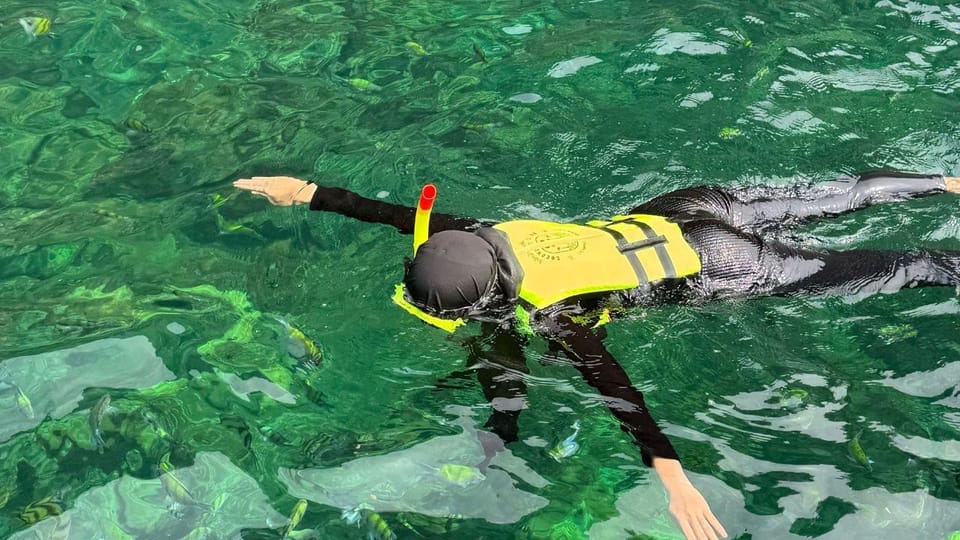 From Phi Phi: Half Day Snorkeling Trip by Speedboat - Beach Relaxation
