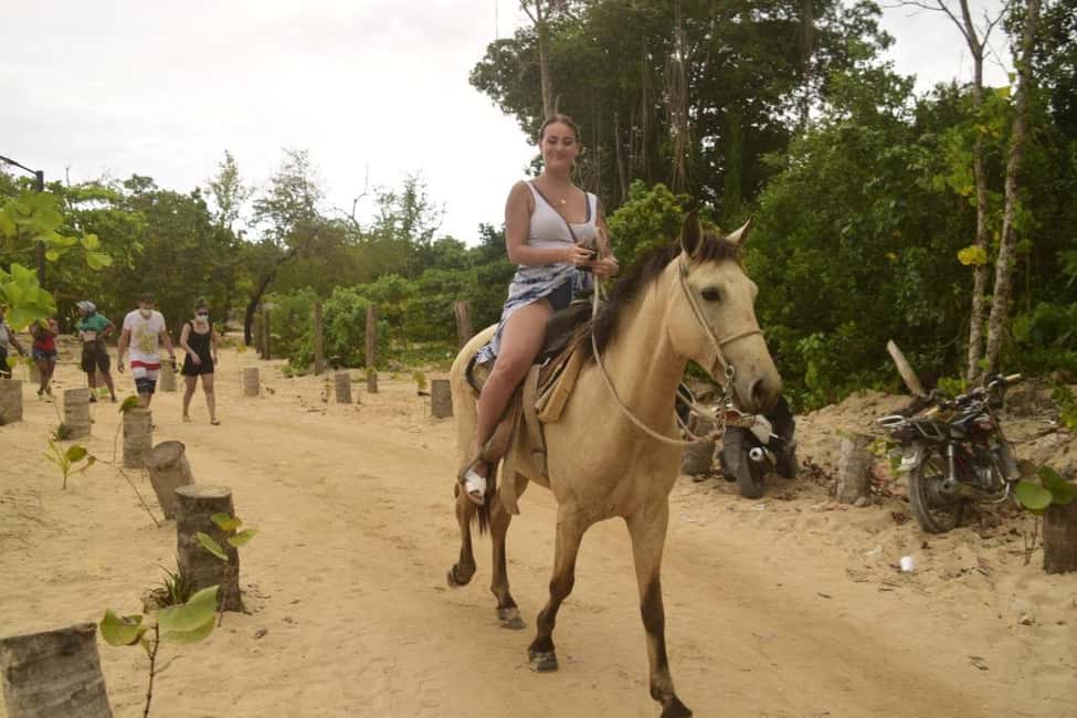 Horseback riding, coffee, chocolate tasting and Macao beach - Tasting Local Flavors: Coffee and Chocolate