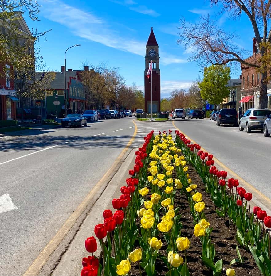 Discovery Tour: From Niagara Falls to Niagara-on-the-Lake - A Deep Dive Into the Discovery Tour Experience