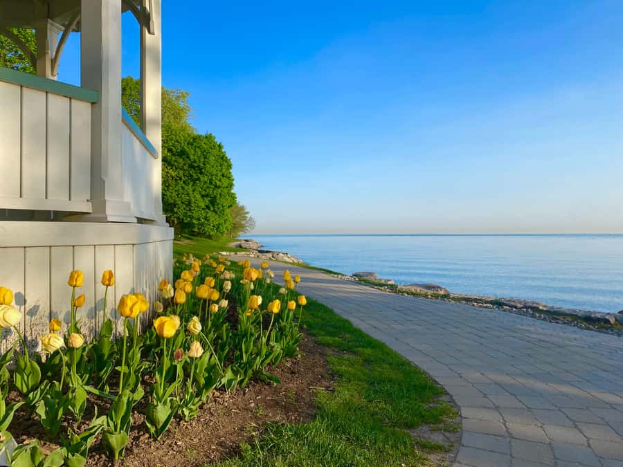 Discovery Tour: From Niagara Falls to Niagara-on-the-Lake - Key Points