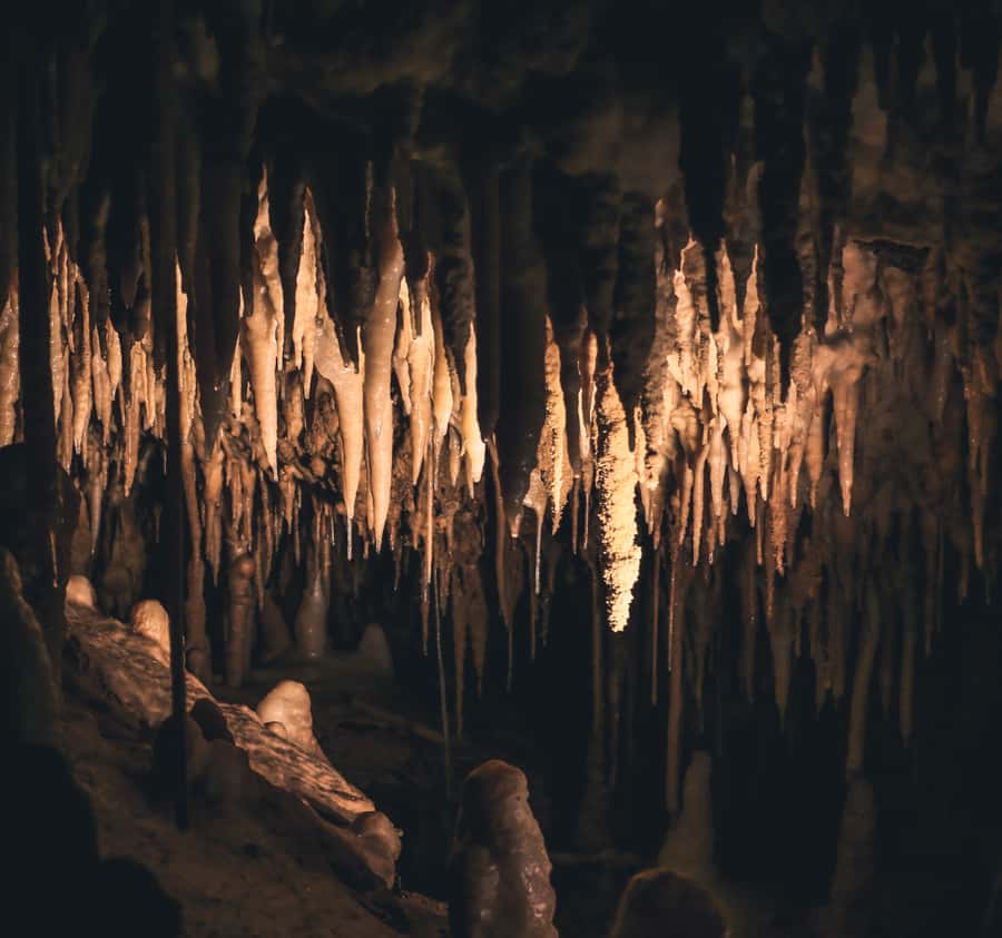 Labuan Bajo:Batu Cermin, Rangko Cave, Sylvia Hill & Waringin - Who Should Consider This Tour?