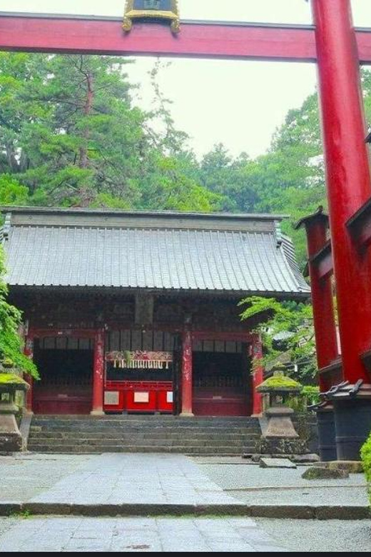 Mt.FUji and Cherry Blossom Full Day Trip with English Driver - What You Can Expect from the Tour  