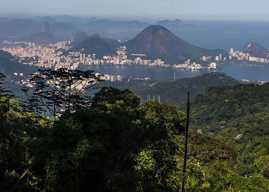 Explore Tijuca Forest: Mayrink Chapel and Taunay Waterfall. - Explore Tijuca Forest: Mayrink Chapel and Taunay Waterfall