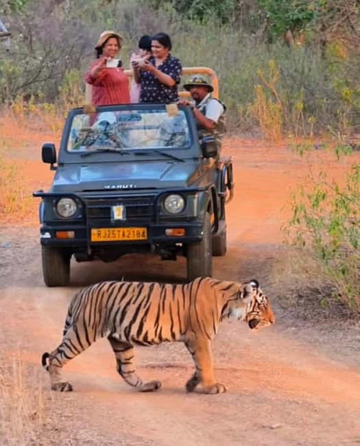 From Jaipur : 2 Days 1 Night Ranthambore Tiger Safari Tour - Practical Tips for Your Trip