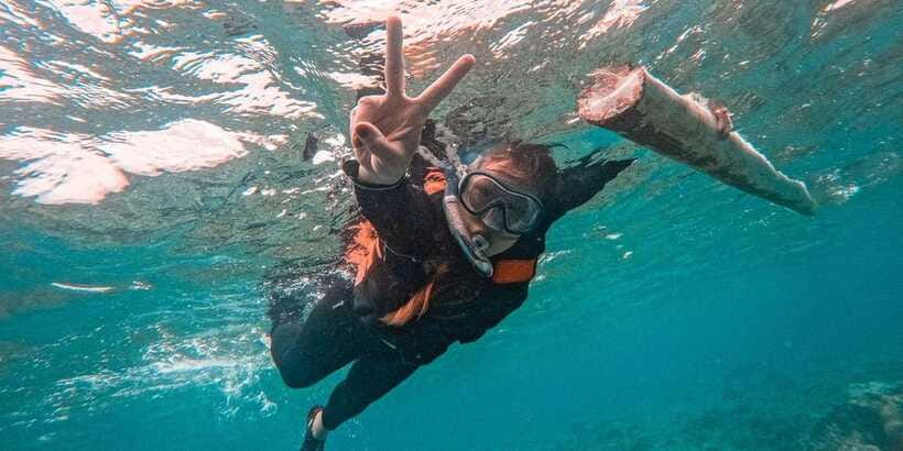 Bohol: Dolphin Watching & Balicasag Island Hopping Tour - Who Should Consider This Tour?