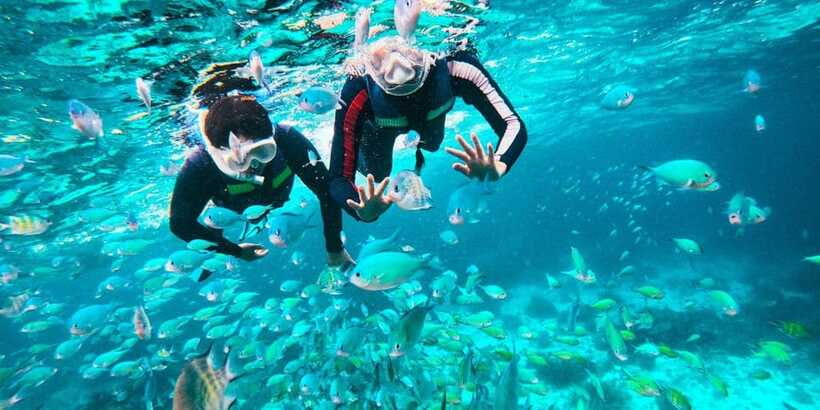 Bohol: Dolphin Watching & Balicasag Island Hopping Tour - The Boat Ride and Group Dynamics