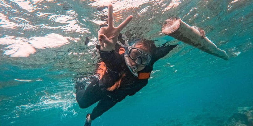 Bohol: Dolphin Watching & Balicasag Island Hopping Tour - What Makes the Dolphin Watching Special