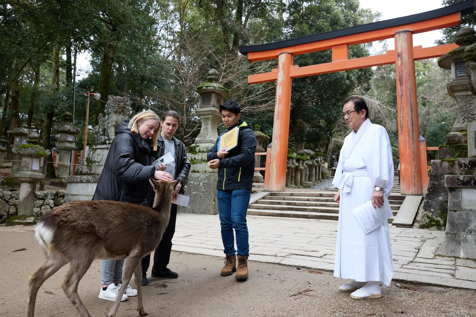 Nara: Kasuga Taisha, Sacred Deer Shrine Guided Tour - A Closer Look at the Experience
