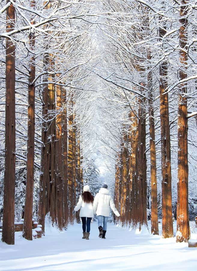 Seoul: Seoraksan National Park & Nami Island - What Sets This Tour Apart?