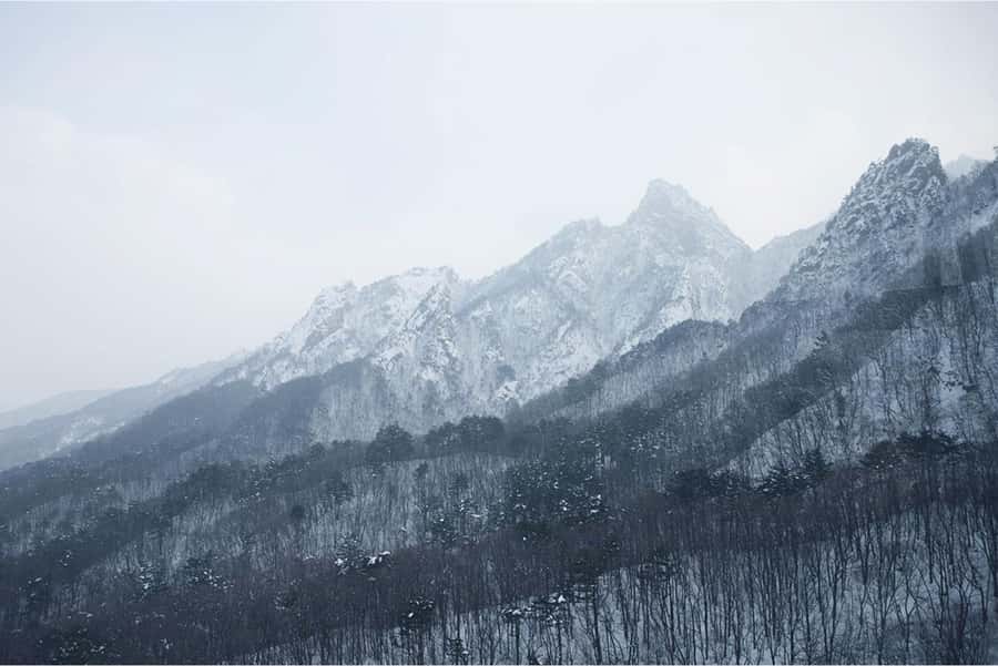 Seoul: Seoraksan National Park & Nami Island - Practical Tips for the Tour