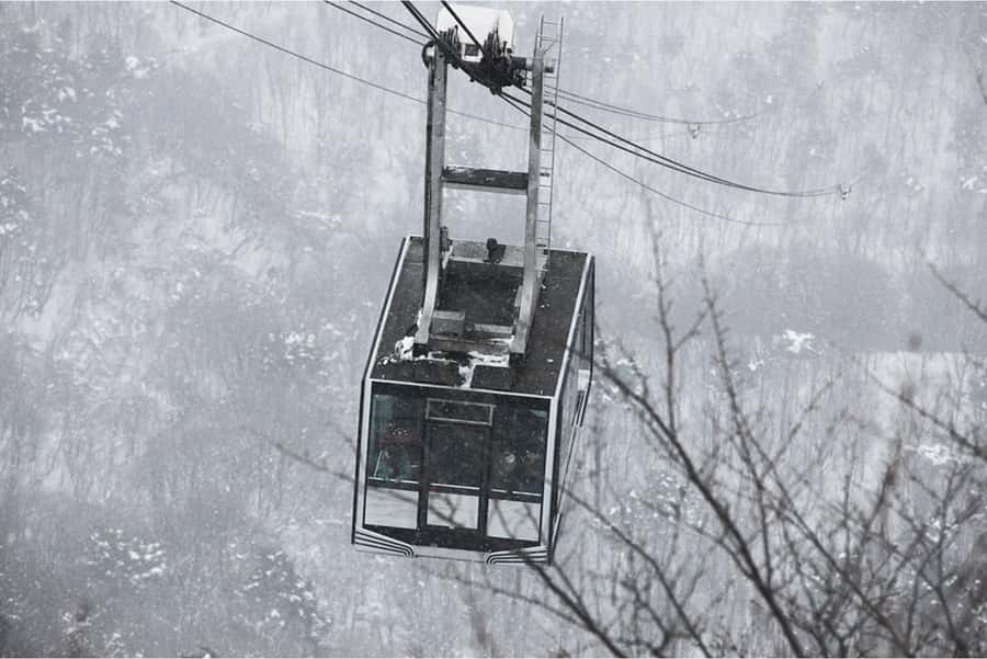 Seoul: Seoraksan National Park & Nami Island - The Sum Up: Who Is This Tour Best For?