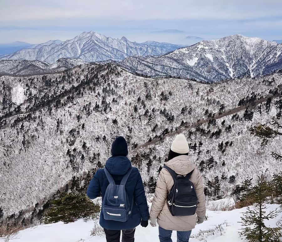 Seoul: Seoraksan National Park & Nami Island - Key Points