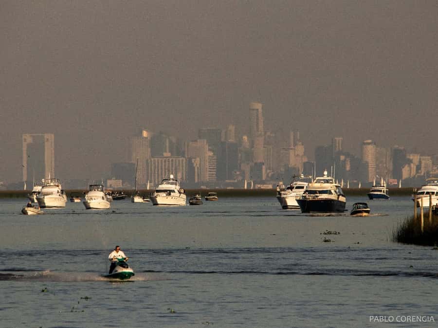 Buenos Aires: Premium Delta Navigation round trip - Practical Tips for a Smooth Experience