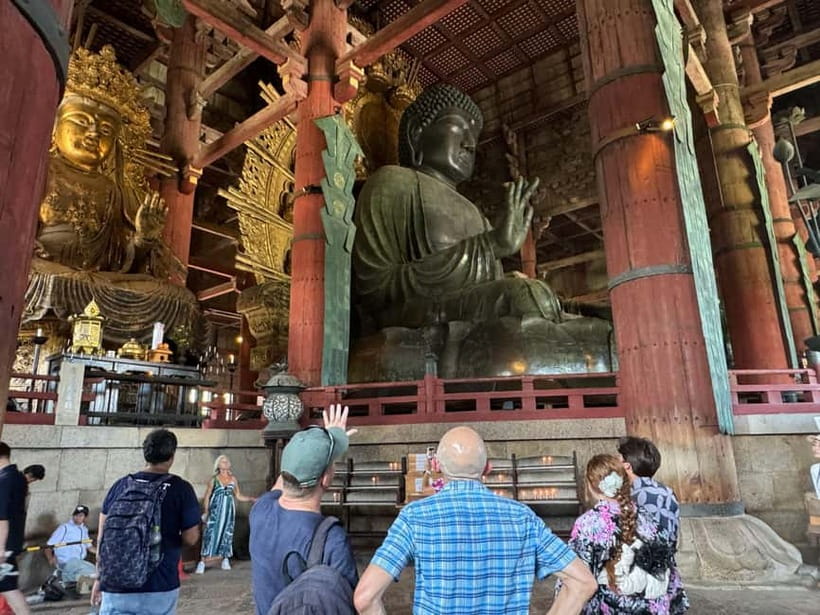 Nara: 3-Hour Guided Tour with Deer, Great Buddha & Shrines - Who Will Love This Tour?