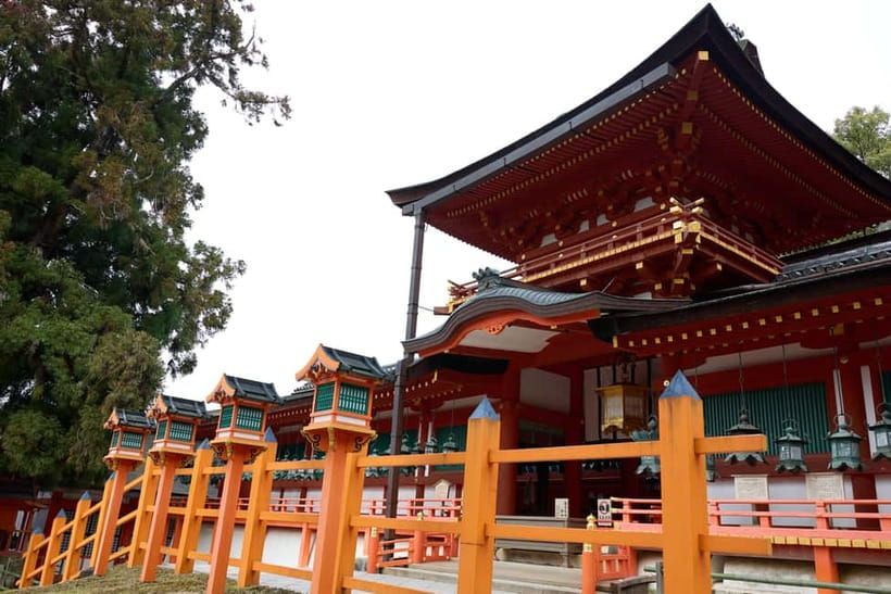 Nara: 3-Hour Guided Tour with Deer, Great Buddha & Shrines - Summing It Up: Why Choose This Experience?
