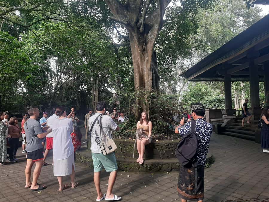 Ubud: Monkey Forest, Rice Terrace, and Waterfall - Exploring Tegallalang Rice Terraces