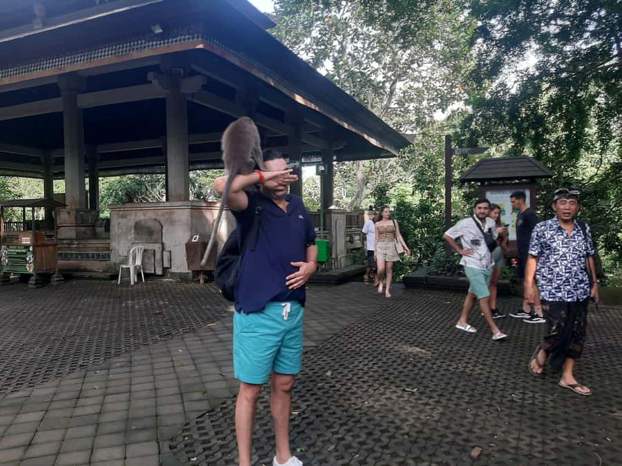 Ubud: Monkey Forest, Rice Terrace, and Waterfall - The Sum Up: Is It Worth It?